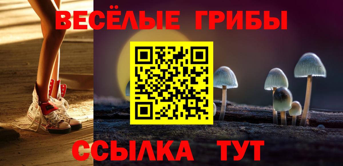 Галлюциногенные грибы MAGIC MUSHROOMS Черемхово